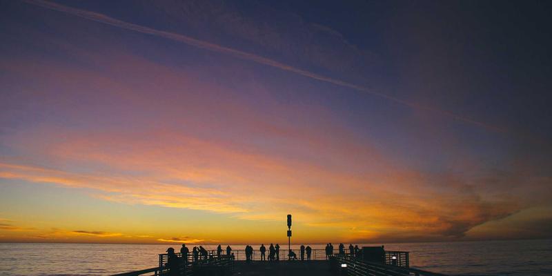 2024年软件开发与网络技术趋势：免费工具如何重塑技术生态