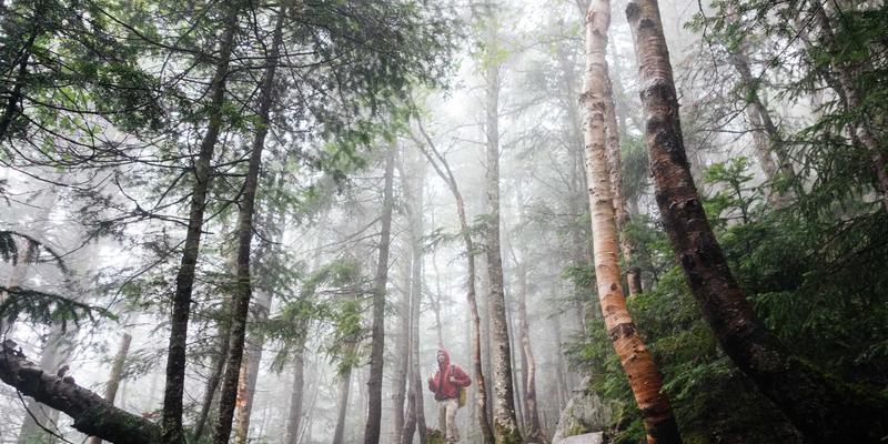 NB-IoT与LoRa技术深度对比：智慧城市低功耗网络选型指南与技术博客分享