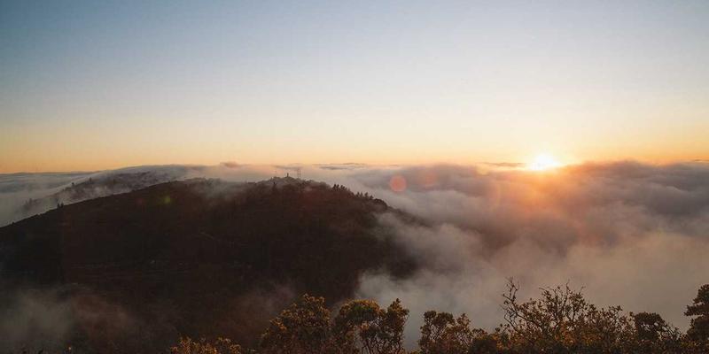 从NFV到CNF：网络技术演进中的免费工具与软件开发新范式