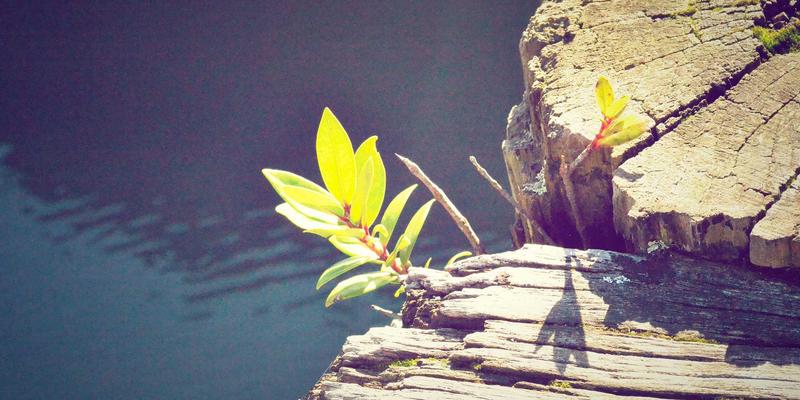 基于意图的网络（IBN）如何重塑混合云自动化运维：开发者的实践指南