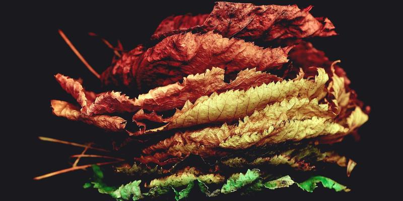 网络即服务（NaaS）深度解析：企业如何按需消费网络能力并简化运维