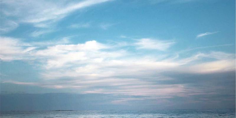 网络技术25：从基础架构到前沿趋势的技术全景解析