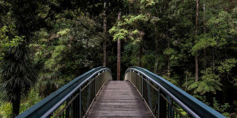 网络技术43：从基础协议到现代编程实践的深度探索