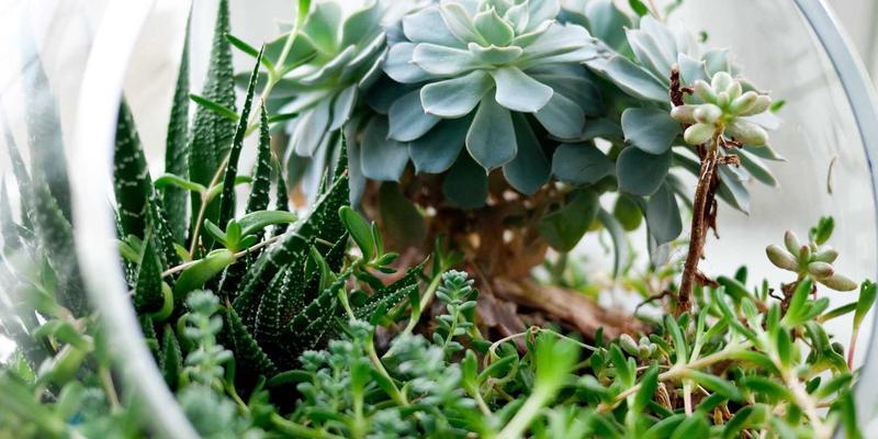 网络技术48：从基础协议到现代编程实践的深度探索