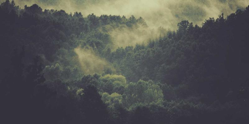 网络技术54：编程教程、免费工具与技术博客的黄金三角