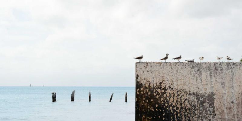 网络技术55：资源分享、技术博客与免费工具全解析