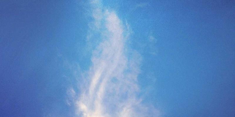 网络技术59：从软件开发到技术分享的完整生态构建