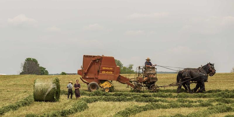 网络技术发展新浪潮：高效资源分享与免费工具如何重塑行业生态