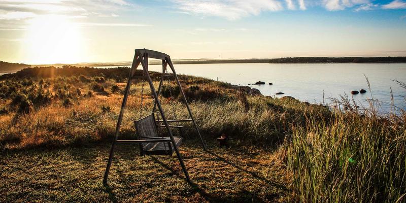 网络技术进阶必备：精选免费工具与资源全分享